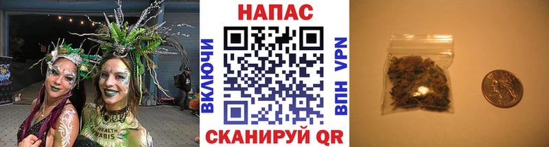 Купить закладку Канабис  Мефедрон  БУТИРАТ  ГАШ  Alpha-PVP  Галлюциногенные грибы  Онега